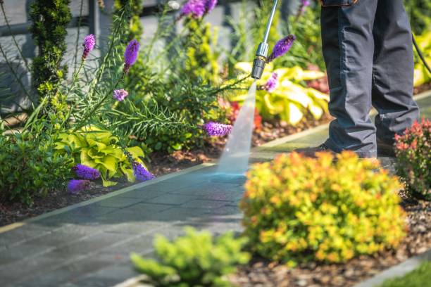 Best Dumpster Area Cleaning  in La Quinta, CA