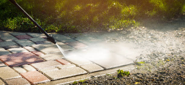 Best Animal Enclosure Cleaning  in La Quinta, CA